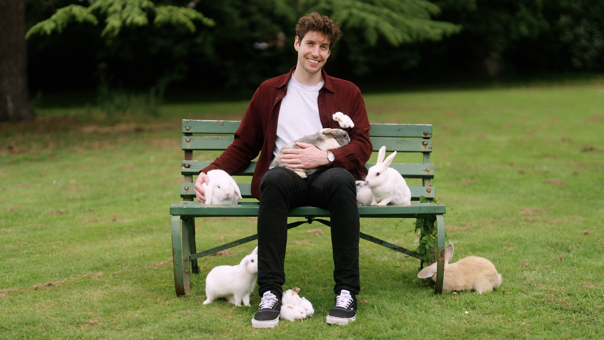 Man sitting on a garden bench with six or seven rabbits around him