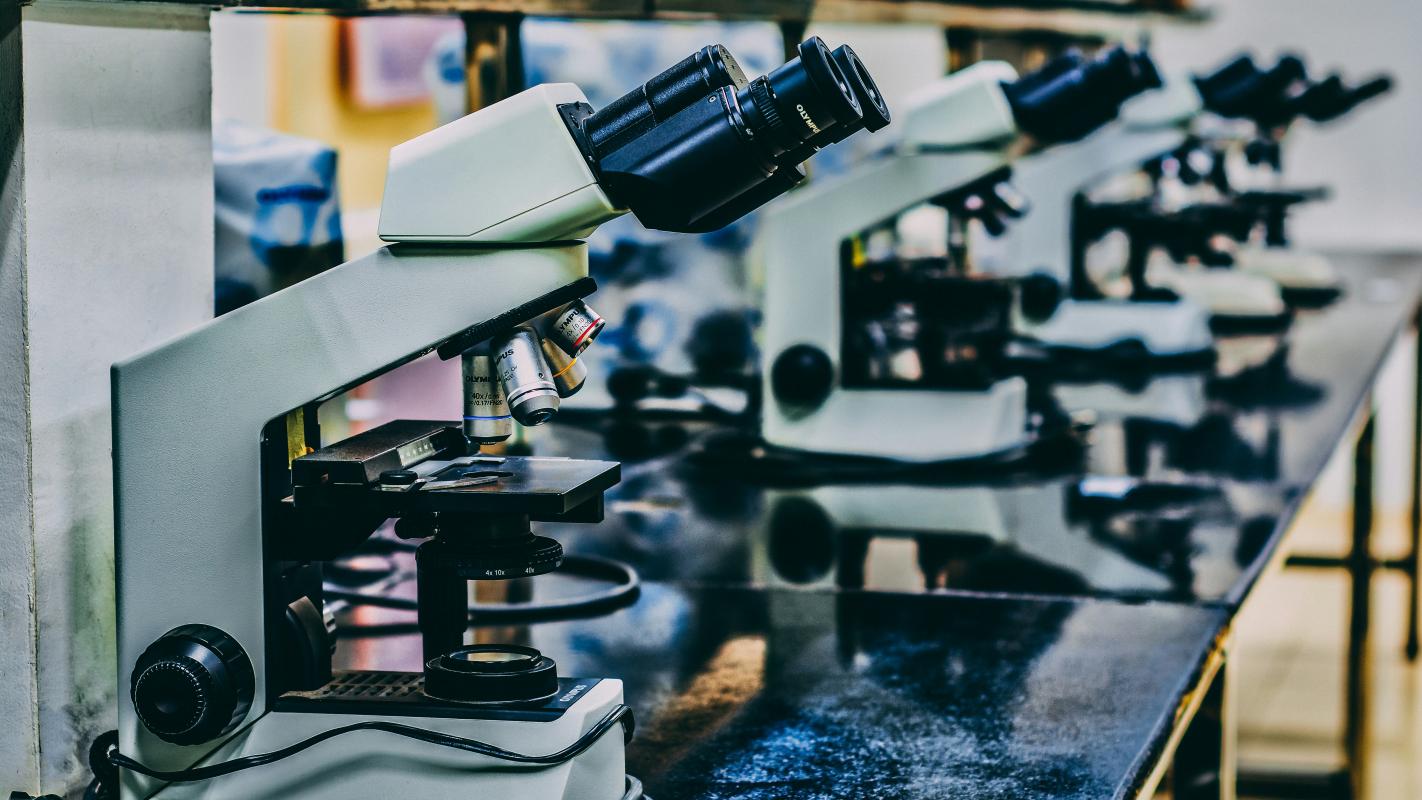 A line of microscopes in a research room
