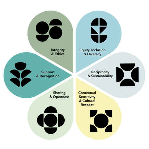 Flower icon with six petals of different colours representing the six principles or responsible knowledge exchange, engagement and impact 