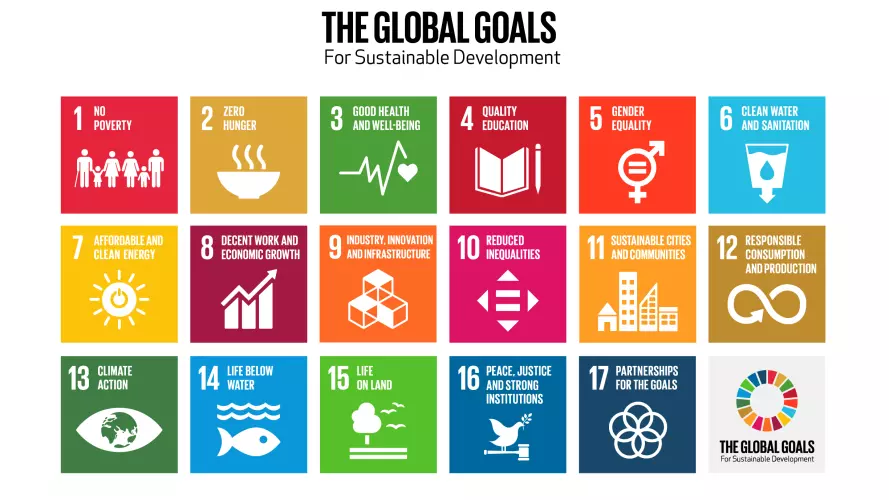 Graphic grid illustrating the 17 Sustainable Development Goals