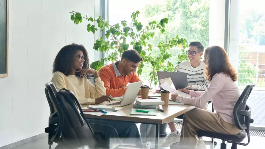 Young group of multicultural coworkers and researchers working together on a project in an office using laptops near a window.