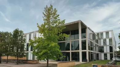 A modern building with large glass windows set in rectangular patterns, with large trees growing in front.