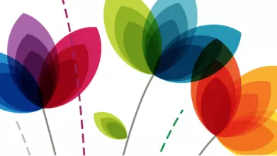 Colourful illustration of stylised flowers