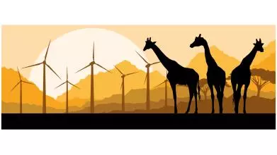 A graphic illustration showing silhouettes of three giraffes against an African landscape of acacia trees, mountains, a bright yellow sun, and a group of wind turbines