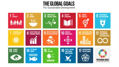 Graphic grid illustrating the 17 Sustainable Development Goals