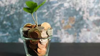 A small green plant emerges from a small jar filled with coins from different 