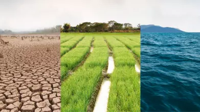 Water resources and climate change