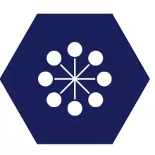 Navy blue hexagon icon
