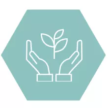 Light green hexagon icon