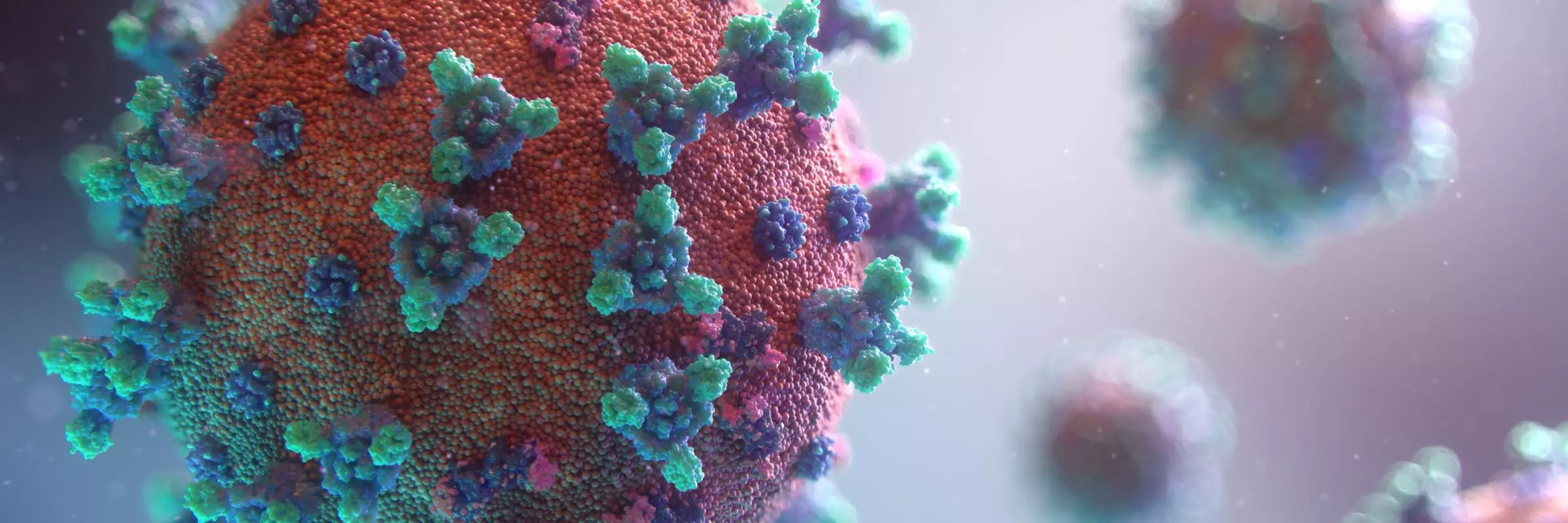 New visualisation of the Covid-19 virus