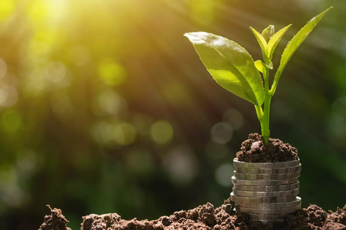 current impact funding opportunities growth