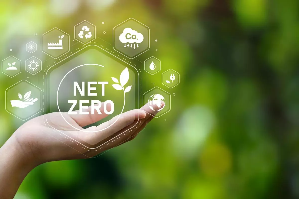 A hand holds the text 'net zero' against a green, leafy backdrop